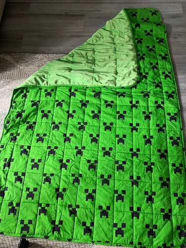Minecraft creeper weighted - creeper,